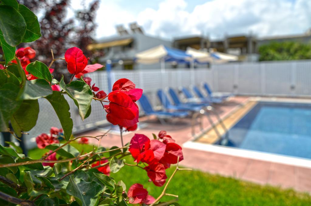 Oliv Apartments Platanes (Rethymno) Quarto foto